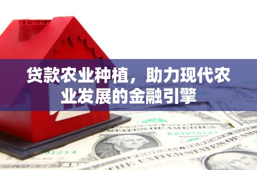 兴国贷款农业种植，助力现代农业发展的金融引擎