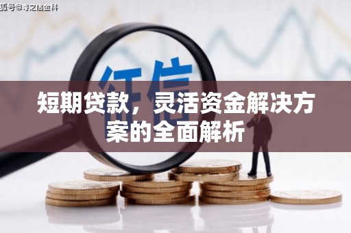 兴国短期贷款，灵活资金解决方案的全面解析