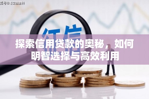 兴国探索信用贷款的奥秘，如何明智选择与高效利用