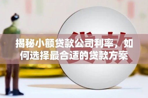 兴国揭秘小额贷款公司利率，如何选择最合适的贷款方案