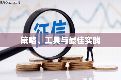 兴国策略、工具与最佳实践