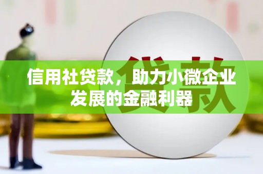兴国信用社贷款，助力小微企业发展的金融利器