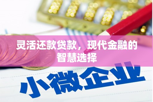 兴国灵活还款贷款，现代金融的智慧选择