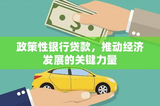兴国政策性银行贷款，推动经济发展的关键力量