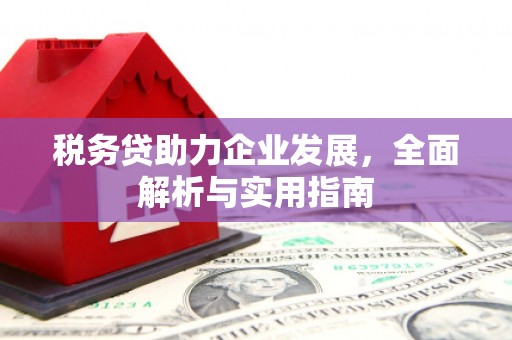 兴国税务贷助力企业发展，全面解析与实用指南