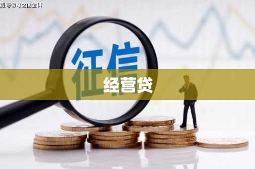 兴国经营贷