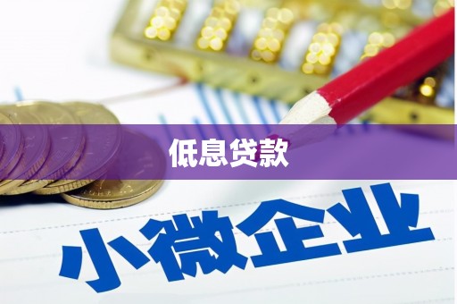 兴国低息贷款