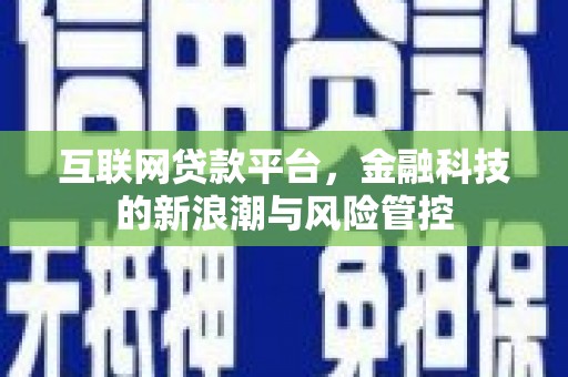 兴国互联网贷款平台，金融科技的新浪潮与风险管控