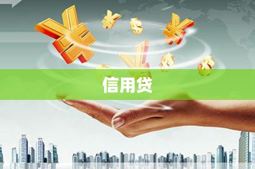兴国信用贷