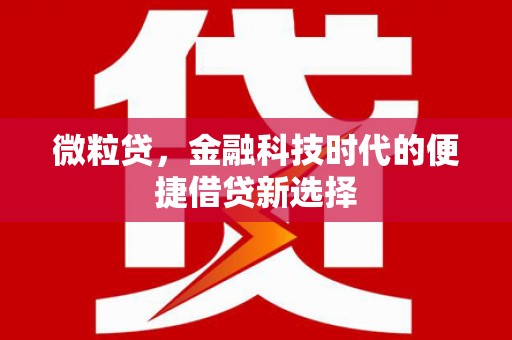 兴国微粒贷，金融科技时代的便捷借贷新选择