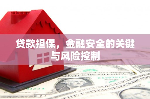 兴国贷款担保，金融安全的关键与风险控制