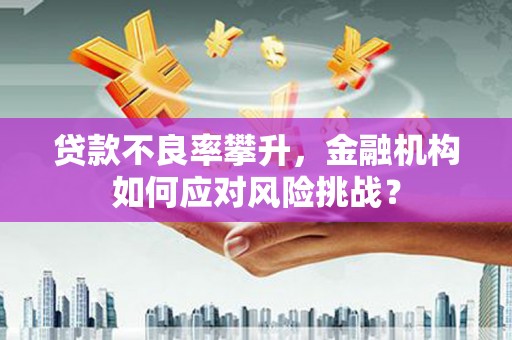 兴国贷款不良率攀升，金融机构如何应对风险挑战？