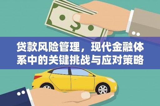 兴国贷款风险管理，现代金融体系中的关键挑战与应对策略