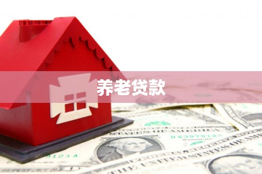 兴国养老贷款