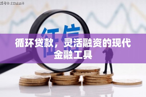 兴国循环贷款，灵活融资的现代金融工具