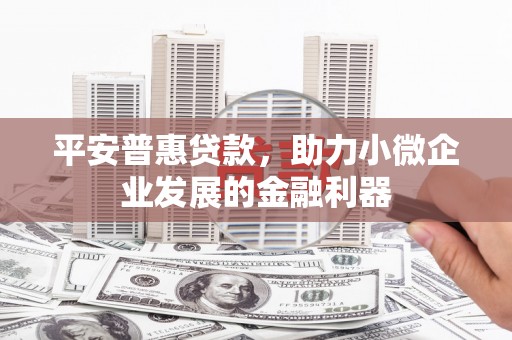 兴国平安普惠贷款，助力小微企业发展的金融利器