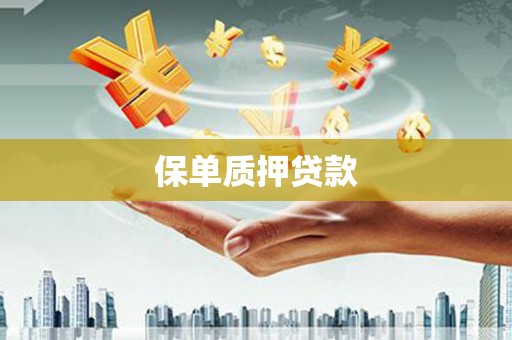 兴国保单质押贷款