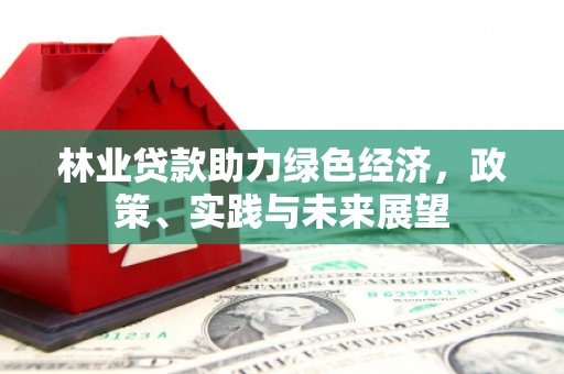 兴国林业贷款助力绿色经济，政策、实践与未来展望