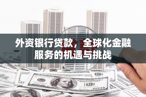 兴国外资银行贷款，全球化金融服务的机遇与挑战