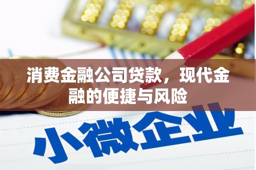 兴国消费金融公司贷款，现代金融的便捷与风险