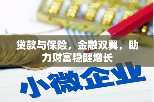 兴国贷款与保险，金融双翼，助力财富稳健增长
