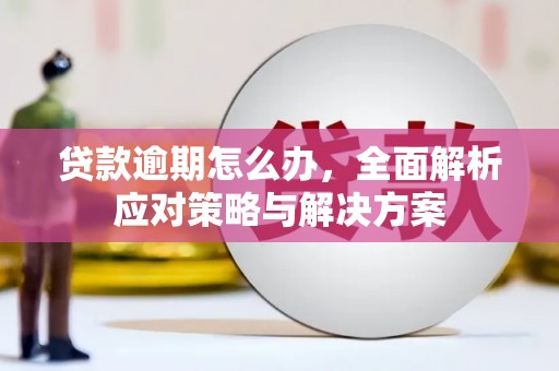 兴国贷款逾期怎么办，全面解析应对策略与解决方案