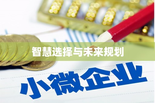 兴国智慧选择与未来规划