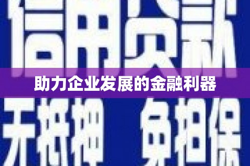 兴国助力企业发展的金融利器