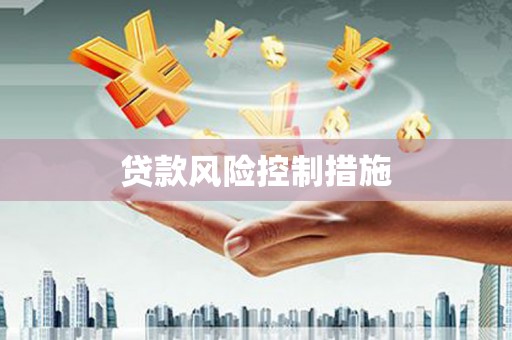兴国贷款风险控制措施