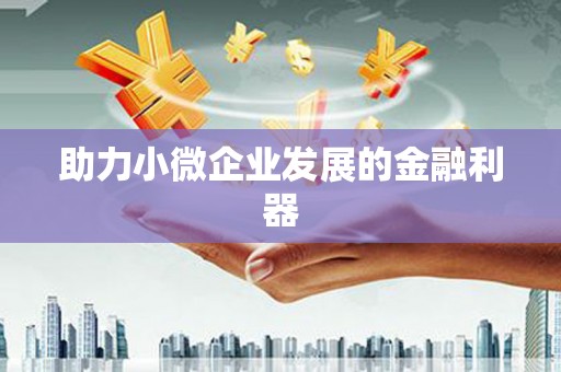 兴国助力小微企业发展的金融利器
