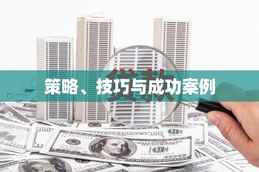 兴国策略、技巧与成功案例