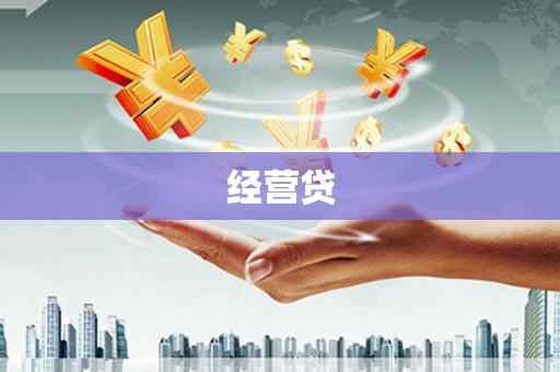 兴国经营贷