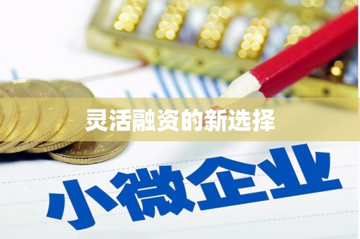 兴国灵活融资的新选择
