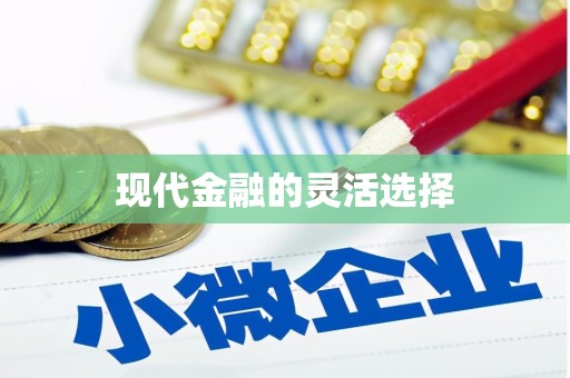兴国现代金融的灵活选择