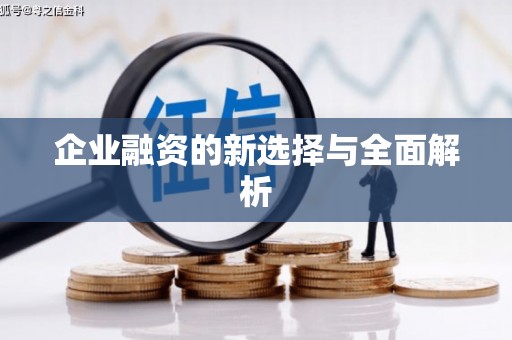 兴国企业融资的新选择与全面解析