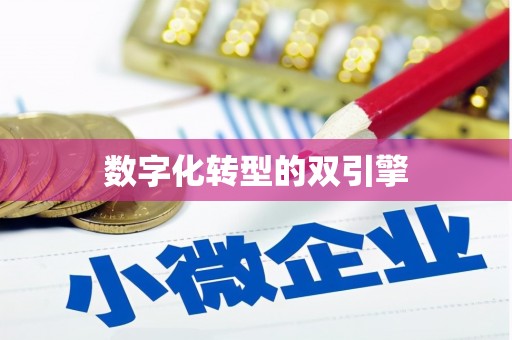 兴国数字化转型的双引擎