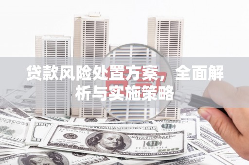 兴国贷款风险处置方案，全面解析与实施策略