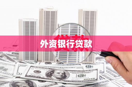 兴国外资银行贷款
