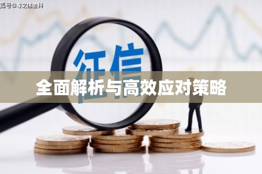 兴国全面解析与高效应对策略