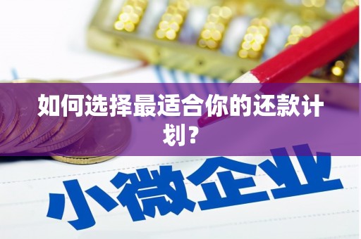 兴国如何选择最适合你的还款计划？